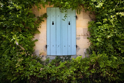 Façade, avec volets fermés, recouverte de plantes