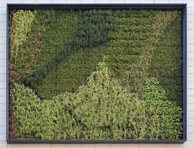 Mur végétal