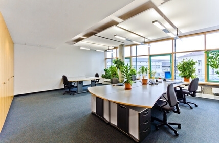 plantes bureau
