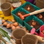 Jardin : quels travaux effectuer au printemps ?