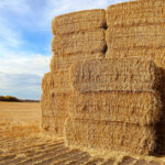 Peut-on construire une maison en paille ?