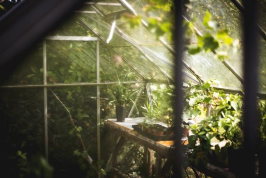 interieur serre de jardin