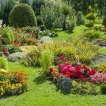 Jardin exposé au vent : quelles sont les précautions à prendre ?