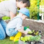 Comment aménager un jardin pour les enfants ?