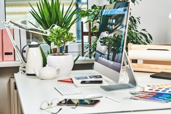 plantes sur un bureau