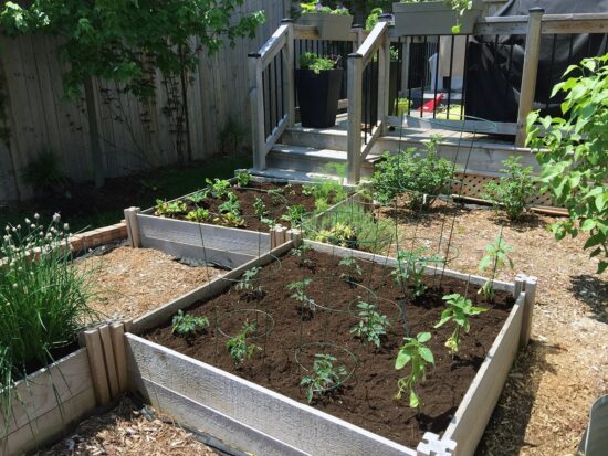 potager en carrés