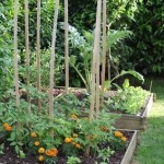 Qu’est-ce que le potager en carrés ?