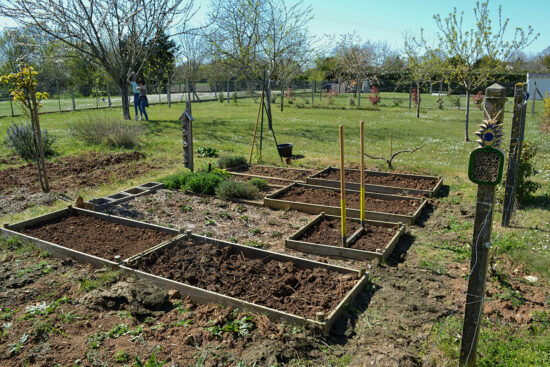 potager en carrés bio en preparation