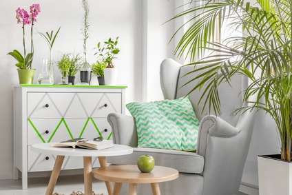 green attitude deco interieure