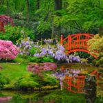 Comment créer un jardin japonais ?