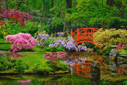 Jardin japonais avec bassin d'eau