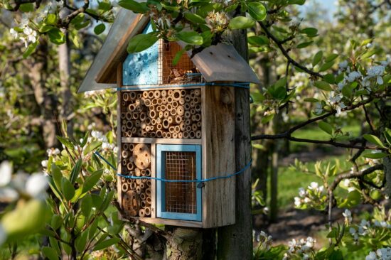 hotel a insectes accroche a un arbre