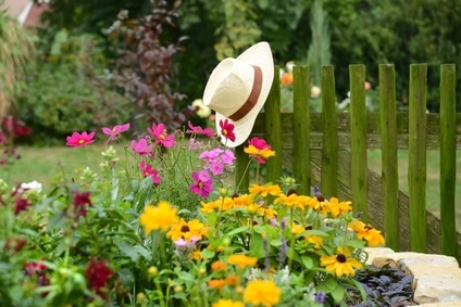 Jardin écologique.