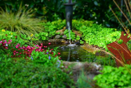 Source d'eau dans un jardin.