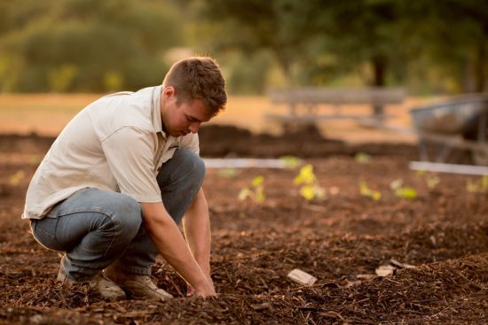 jardinier dans son potager