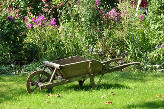 Jardin avec brouette.