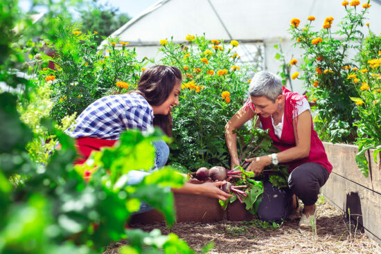 femmes avec des fleurs dans potager