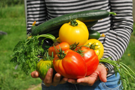 personne avec des legumes dans les bras