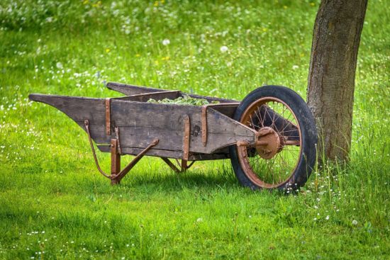 Brouette dans un jardin.