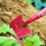 Quels sont les outils indispensables pour bien entretenir votre jardin ?