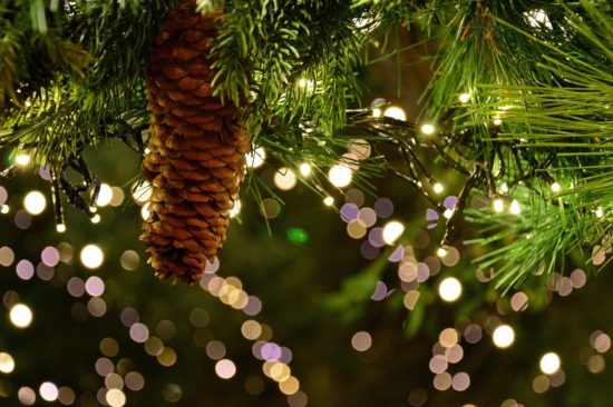 Guirlande lumineuse et pomme de pin sur un sapin de Noël