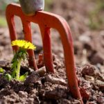 Comment préparer votre potager au printemps ?