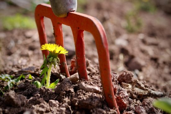 beche dans le jardin