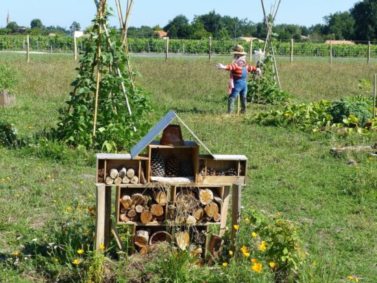 jardin en permaculture avec un hotel a insectes