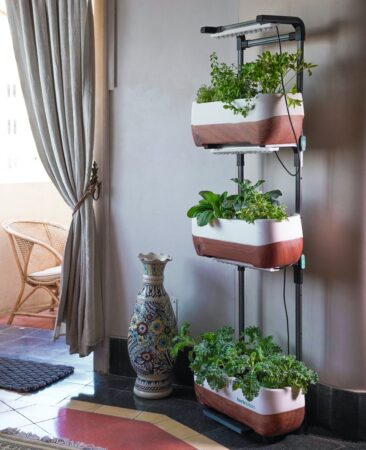 jardin vertical dans un salon