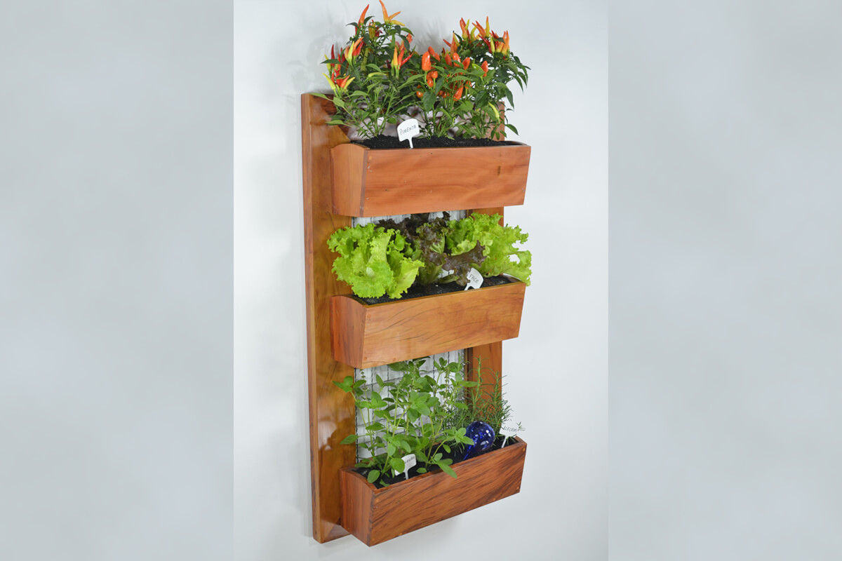 Jardin vertical : conseils et astuces