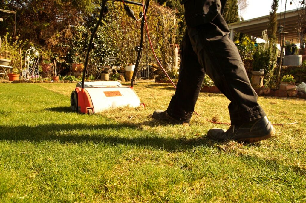 Entretien pelouse : conseils et astuces