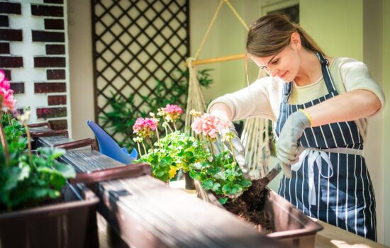 femme qui fleurit son balcon