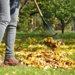 Comment entretenir votre gazon en automne ?