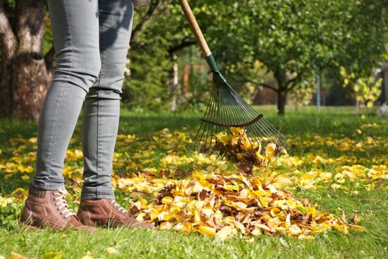femme jardinier ratissant des feuilles-d automne